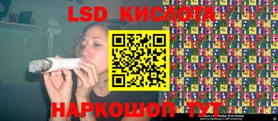 крисы Кунгур
