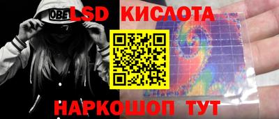 крисы Кунгур