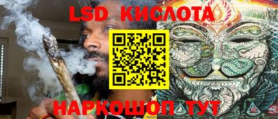 крисы Кунгур