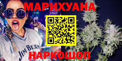 крисы Кунгур