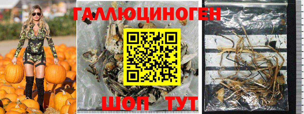 Клин  Псилоцибиновые грибы мухоморы  Вход с VPN 