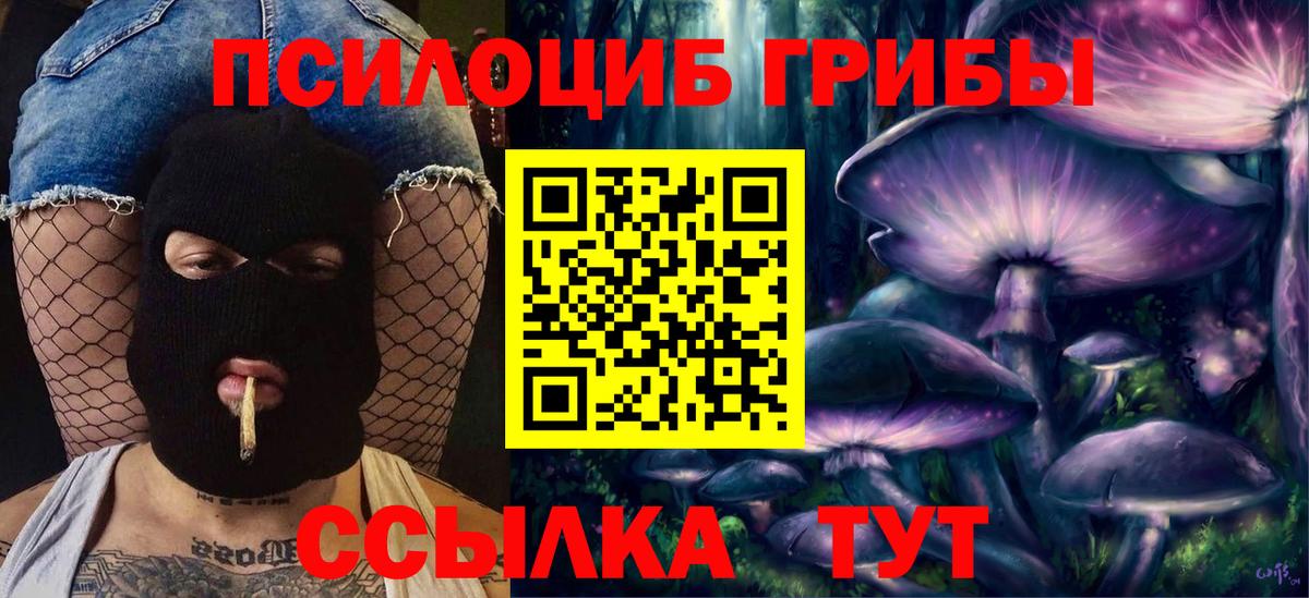 Галлюциногенные грибы Cubensis Клин